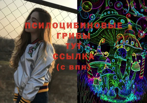 амф Верхний Тагил