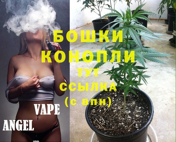 мдпв Волоколамск