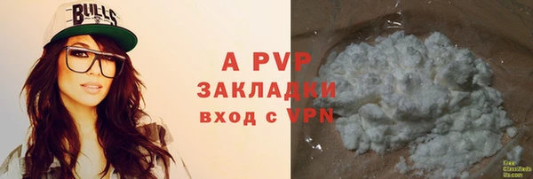 амф Верхний Тагил