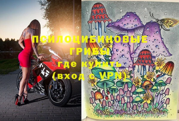 амф Верхний Тагил