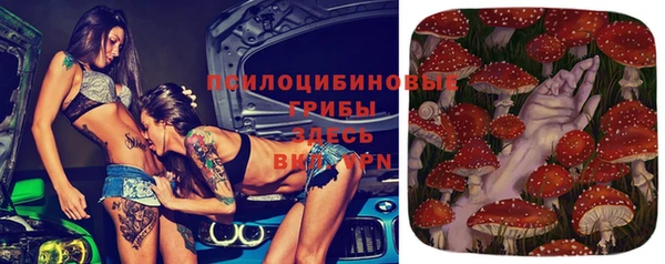 мдпв Волоколамск