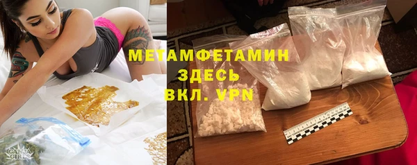 сатива Волосово