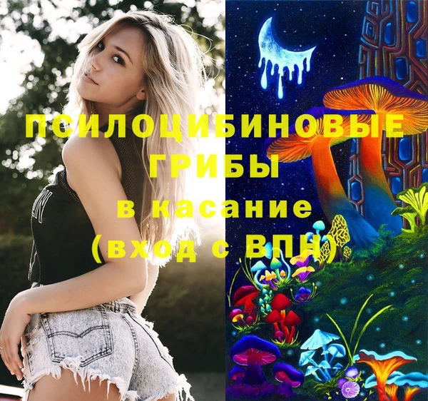 сатива Волосово