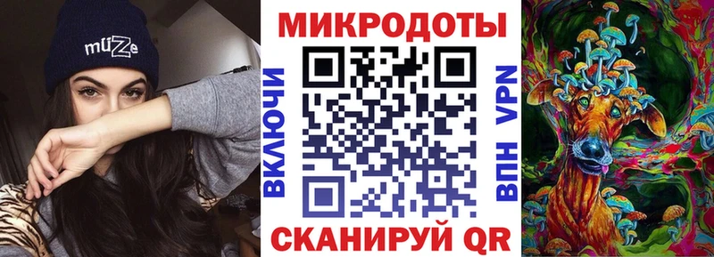 Псилоцибиновые грибы Psilocybe  где купить наркотик  Каменск-Шахтинский 